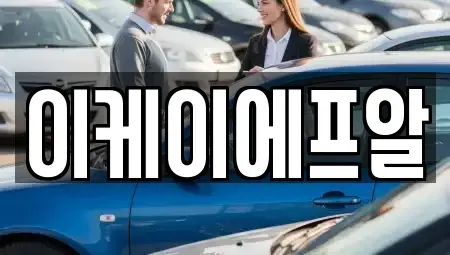 서울 중구 소공동 렌트카 전문 이케이에프알