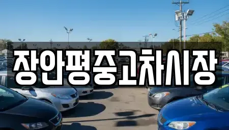 서울 중구 소공동 중고차매매 전문 장안평중고차시장