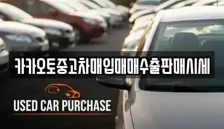 서울 중구 소공동 중고차매입 전문 카카오토중고차매입매매수출판매시세
