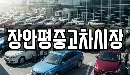 서울 중구 인현동2가 중고차 전문 장안평중고차시장