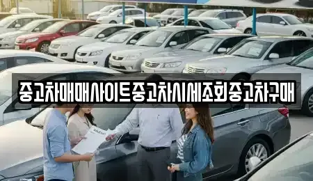 서울 중구 인현동2가 중고차 전문 중고차매매사이트중고차시세조회중고차구매