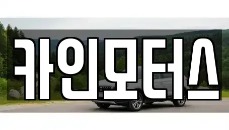 서울 중구 인현동2가 중고차 전문 카인모터스
