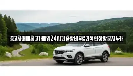 서울 중구 인현동2가 중고차매입 전문 중고차매매최고가매입24시간출장비무료견적현장방문지누카