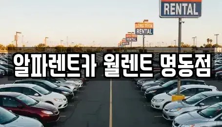 서울 중구 회현동2가 렌트카 전문 알파렌트카 월렌트 명동점