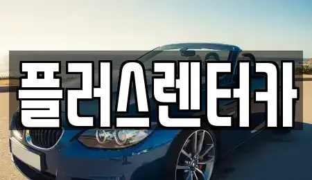 서울 중구 회현동2가 렌트카 전문 플러스렌터카