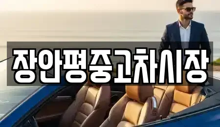 서울 중구 회현동2가 중고차매매 전문 장안평중고차시장