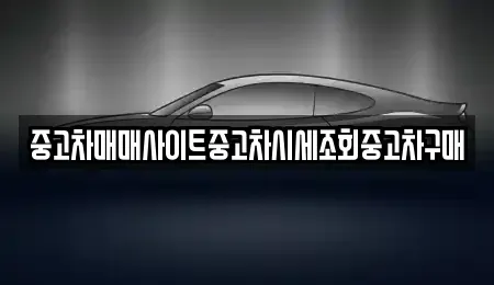 서울 중구 회현동2가 중고차매매 전문 중고차매매사이트중고차시세조회중고차구매