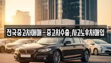 서울 중구 회현동2가 중고차매입 전문 전국중고차매매-중고차수출,사고노후차매입