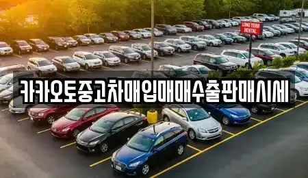 서울 중구 회현동2가 중고차매입 전문 카카오토중고차매입매매수출판매시세