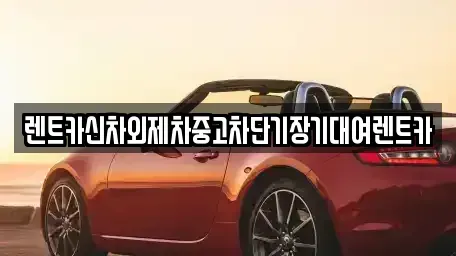 서울특별시 강남구 대치동 장기렌트카 전문 렌트카신차외제차중고차단기장기대여렌트카