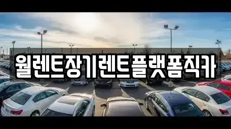 서울특별시 강동구 길동 장기렌트카 전문 월렌트장기렌트플랫폼직카