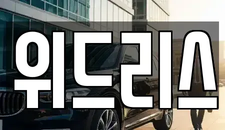 서울특별시 강동구 길동 장기렌트카 전문 위드리스