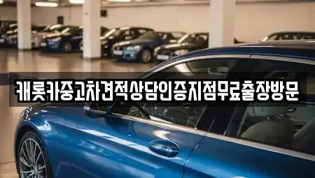 서울특별시 강동구 길동 중고차 전문 캐롯카중고차견적상담인증지점무료출장방문