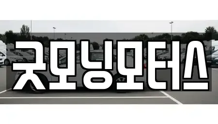 서울특별시 동작구 노량진동 중고차 전문 굿모닝모터스