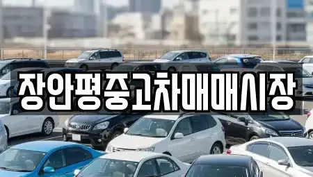 서울특별시 동작구 노량진동 중고차 전문 장안평중고차매매시장