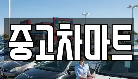 서울특별시 동작구 노량진동 중고차 전문 중고차마트
