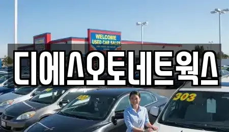 서울특별시 서초구 양재동 렌트카 전문 디에스오토네트웍스