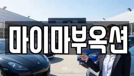 서울특별시 서초구 양재동 중고차매매 전문 마이마부옥션
