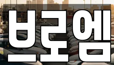 서울특별시 서초구 양재동 중고차매매 전문 브로엠