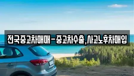 서울특별시 서초구 양재동 중고차매입 전문 전국중고차매매-중고차수출,사고노후차매입