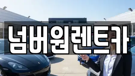 서울특별시 송파구 단기렌트카 전문 넘버원렌트카