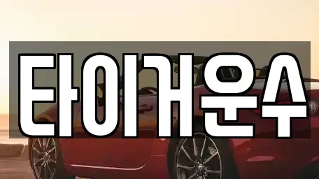 서울특별시 송파구 단기렌트카 전문 타이거운수