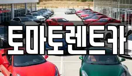 서울특별시 송파구 렌트카 전문 토마토렌트카