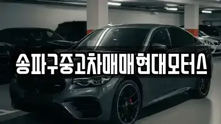 서울특별시 송파구 중고차매매 전문 송파구중고차매매현대모터스