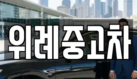 서울특별시 송파구 중고차매매 전문 위례중고차