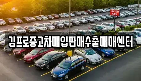 서울특별시 송파구 중고차매입 전문 김프로중고차매입판매수출매매센터