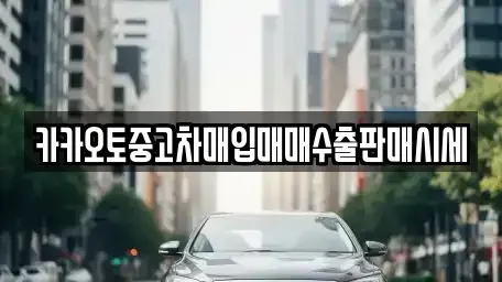 서울특별시 송파구 중고차매입 전문 카카오토중고차매입매매수출판매시세