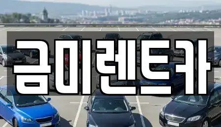 서울특별시 영등포구 양평동6가 렌트카 전문 금미렌트카