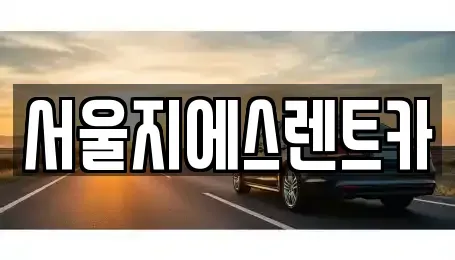 서울특별시 영등포구 양평동6가 렌트카 전문 서울지에스렌트카