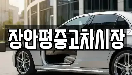 서울특별시 영등포구 양평동6가 중고차 전문 장안평중고차시장