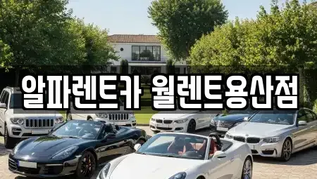 서울특별시 용산구 문배동 렌트카 전문 알파렌트카 월렌트용산점