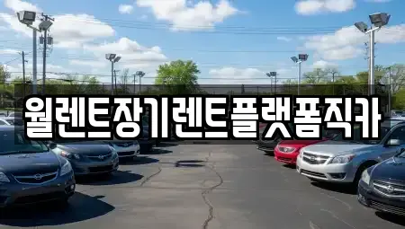 서울특별시 은평구 구산동 장기렌트카 전문 월렌트장기렌트플랫폼직카