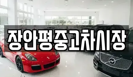 서울특별시 은평구 구산동 중고차매매 전문 장안평중고차시장