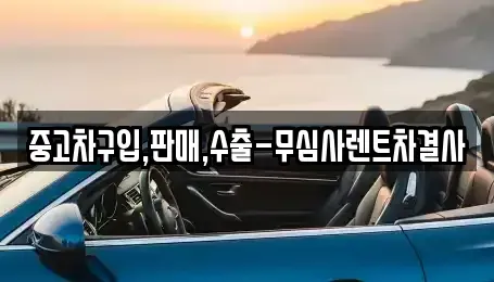 서울특별시 은평구 구산동 중고차매매 전문 중고차구입,판매,수출-무심사렌트차결사