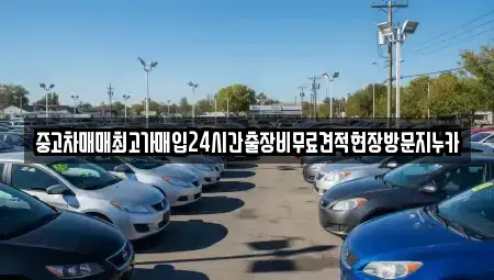 서울특별시 은평구 구산동 중고차매입 전문 중고차매매최고가매입24시간출장비무료견적현장방문지누카
