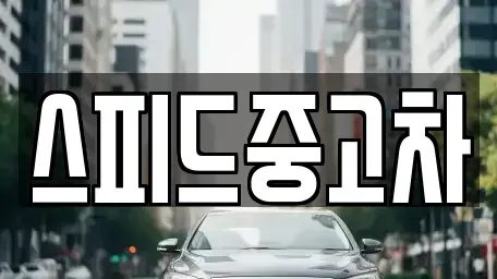 서울특별시 은평구 응암동 중고차 전문 스피드중고차