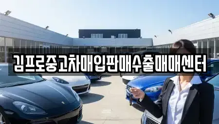 서울특별시 은평구 응암동 중고차매입 전문 김프로중고차매입판매수출매매센터