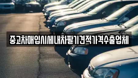 서울특별시 은평구 응암동 중고차매입 전문 중고차매입시세내차팔기견적가격수출업체