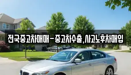 서울특별시 종로구 묘동 중고차매매 전문 전국중고차매매-중고차수출,사고노후차매입