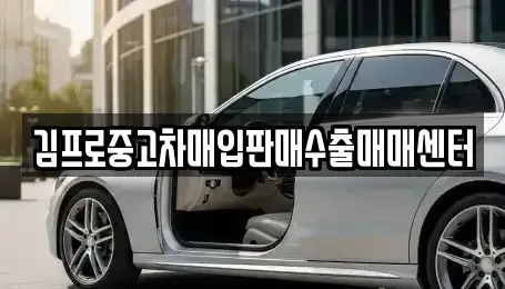 서울특별시 종로구 묘동 중고차매입 전문 김프로중고차매입판매수출매매센터