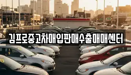 서울특별시 종로구 묘동 중고차매입 전문 김프로중고차매입판매수출매매센터