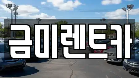 서울특별시 종로구 종로1가 렌트카 전문 금미렌트카
