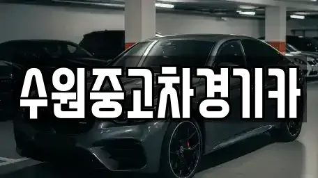서울특별시 종로구 종로1가 중고차 전문 수원중고차경기카
