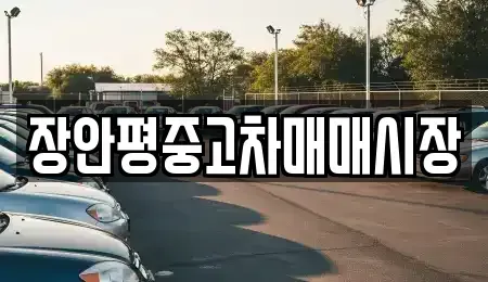 서울특별시 종로구 종로1가 중고차 전문 장안평중고차매매시장