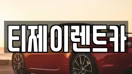 서울특별시 중구 남대문로3가 렌트카 전문 티제이렌트카