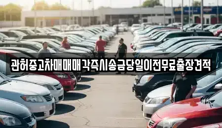 서울특별시 중구 남대문로3가 중고차매매,단기렌트카,중고차매입,장기렌트카,중고차,렌트카